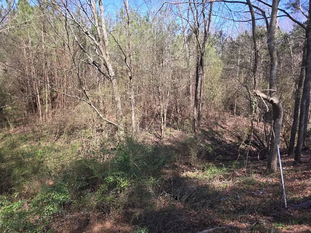 $18,000 | 0 Hwy 13 Mendenhall Ms 39114, Morton, MS 39117