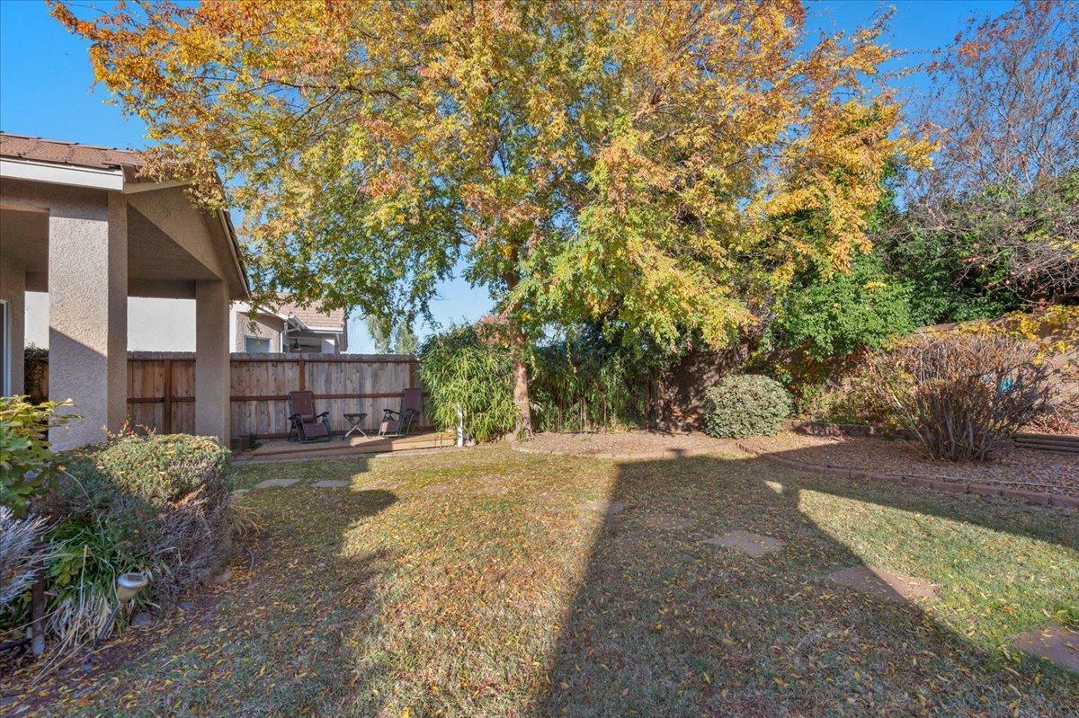 849 Megan Avenue Clovis, CA 93611 - Photo 35 of 53 a view of a street with a large trees