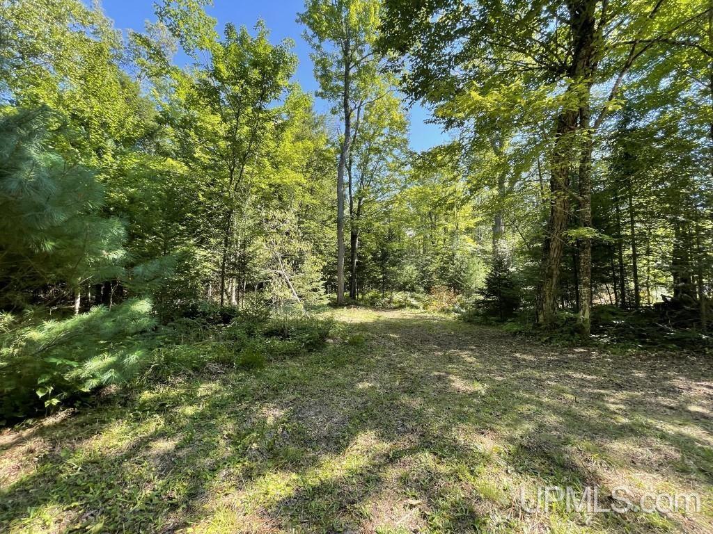 19023 Collins Road Lanse, MI 49946 - Photo 15 of 20 Gallery Image 15
