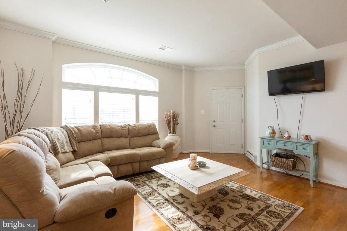 310 B Mill Pond Road Frederick, MD 21701 - Photo 9 of 37 TONS of natural light