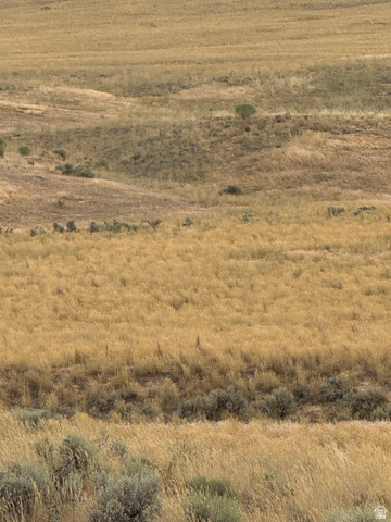 14 Old Dam Road, Unit 14 Levan, UT 84639 - Photo 6 of 10