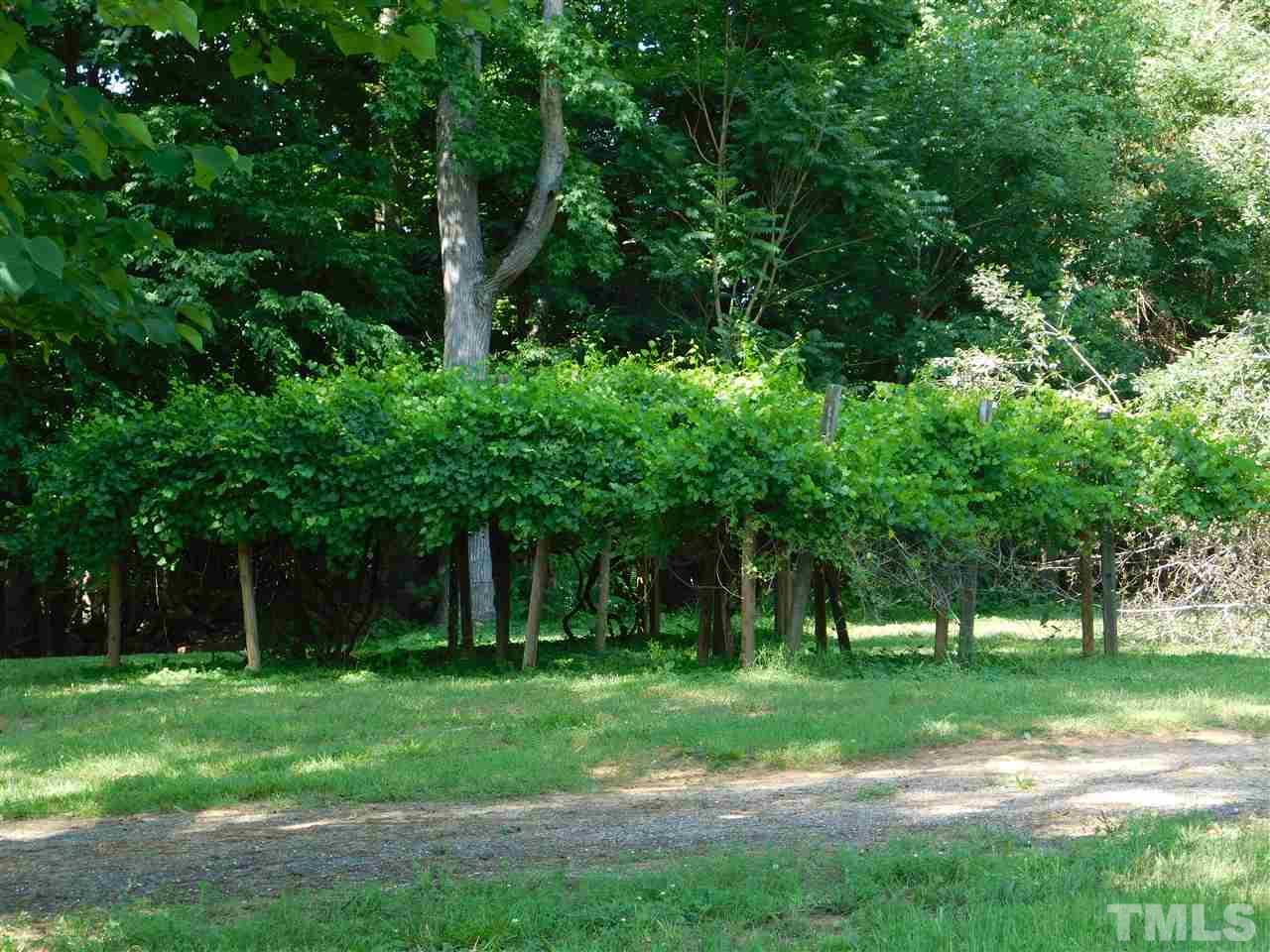 2007 Soapstone Mountain Road Staley, NC 27355 - Photo 15 of 16 Gallery Image 15