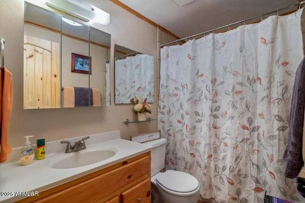 a bathroom with a sink a toilet and shower curtain
