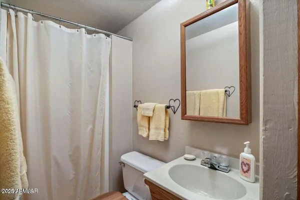 a bathroom with a sink a toilet and shower curtain