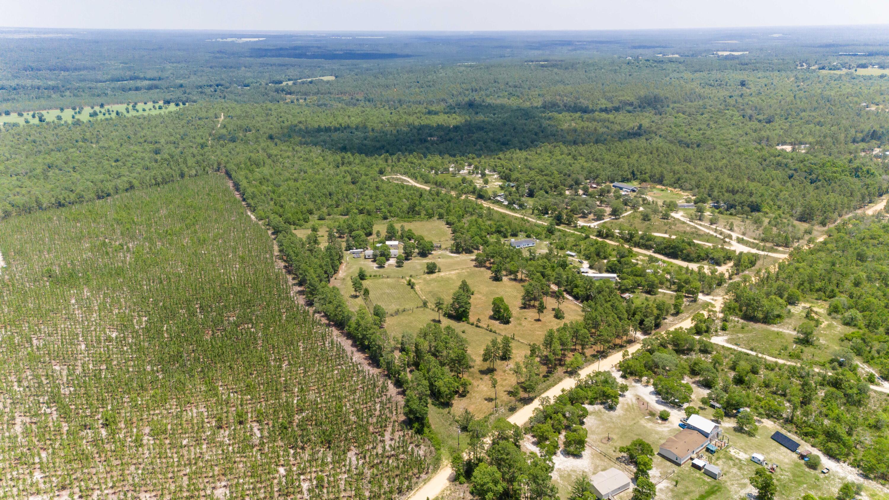 798 Big Branch Road Wagener, SC 29164 - Photo 35 of 63