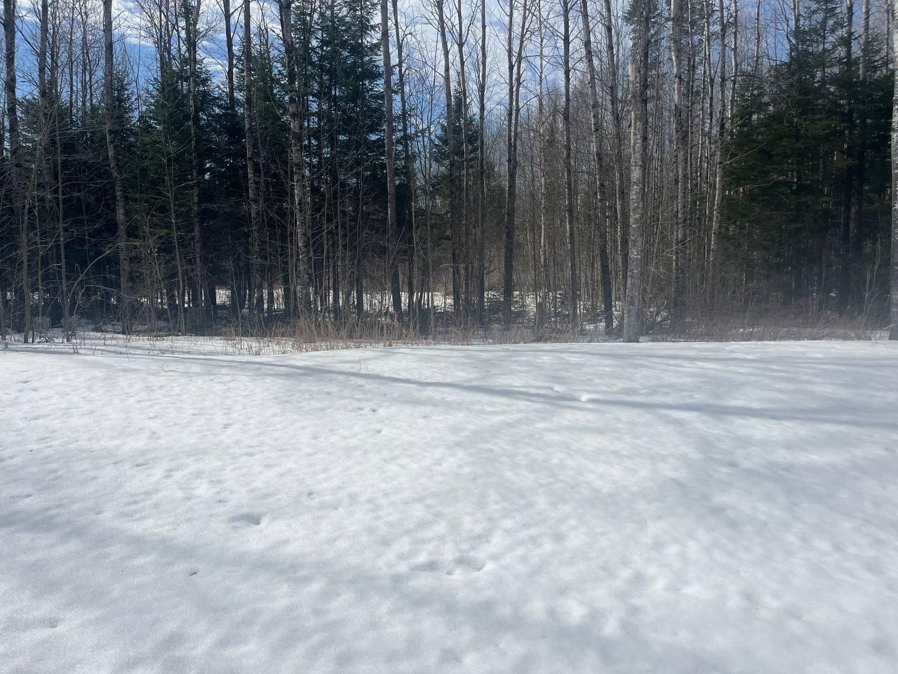 16 Moose Lane Orient, ME 04471 - Photo 23 of 25 photo_13_2026-03-10_09-31-04