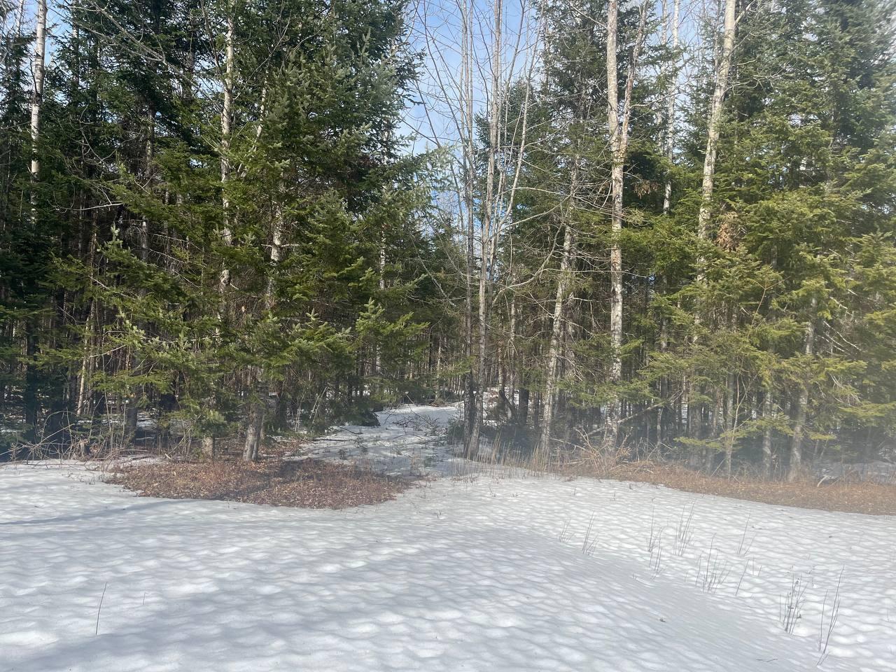 16 Moose Lane Orient, ME 04471 - Photo 24 of 25 photo_8_2026-03-10_09-31-04