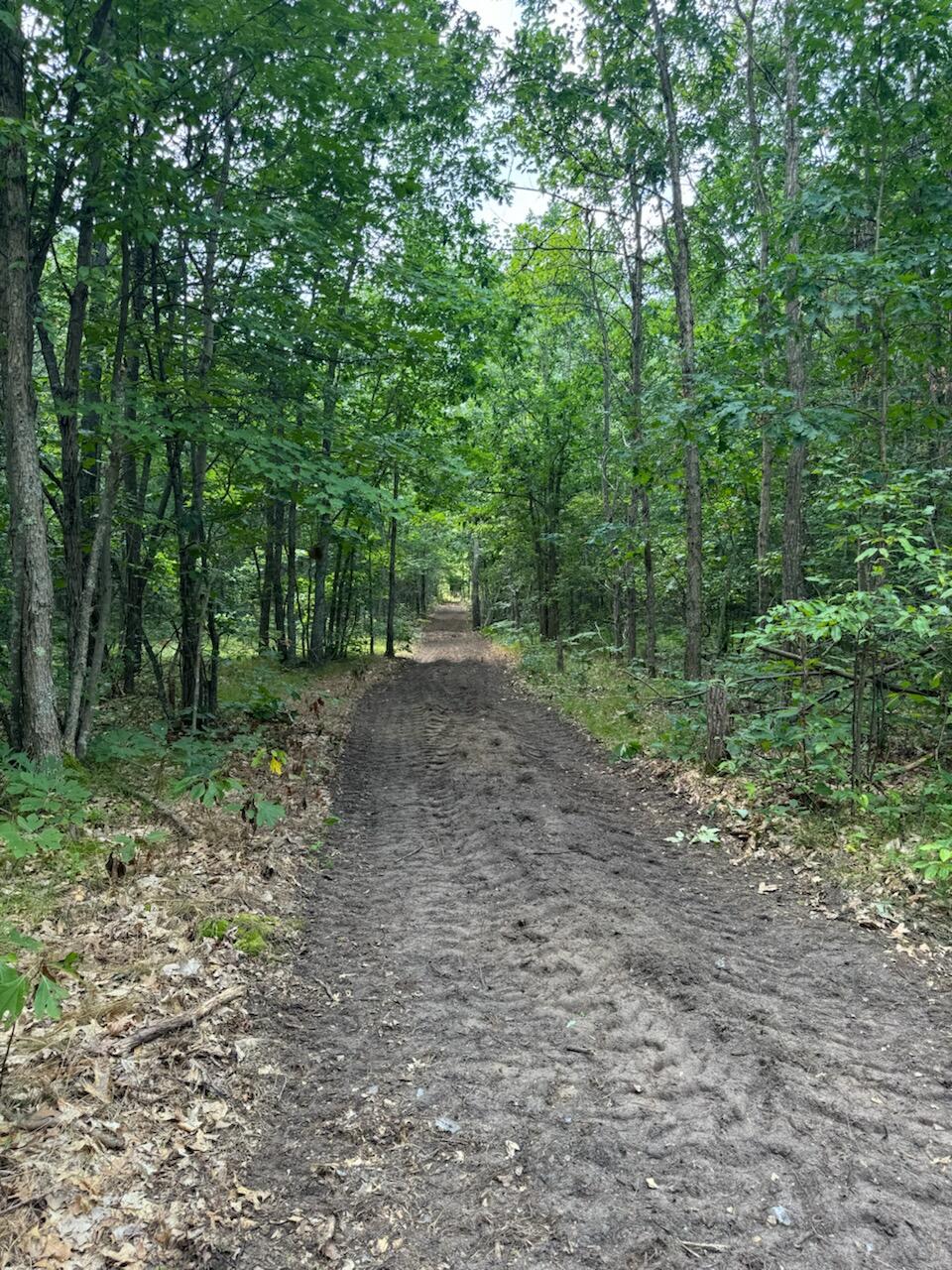 V/l Dexter Road Wellston, MI 49689 - Photo 1 of 22 7018447631456162383