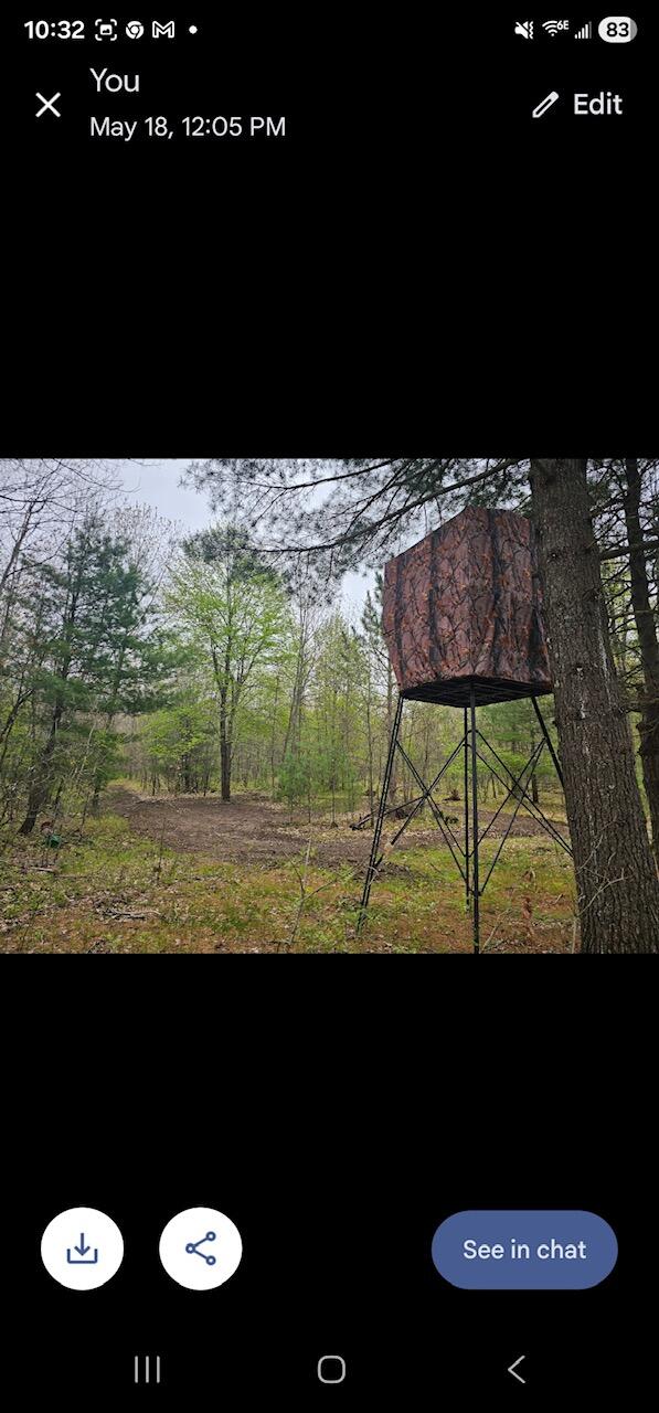 V/l Dexter Road Wellston, MI 49689 - Photo 11 of 22 2483052488971704074