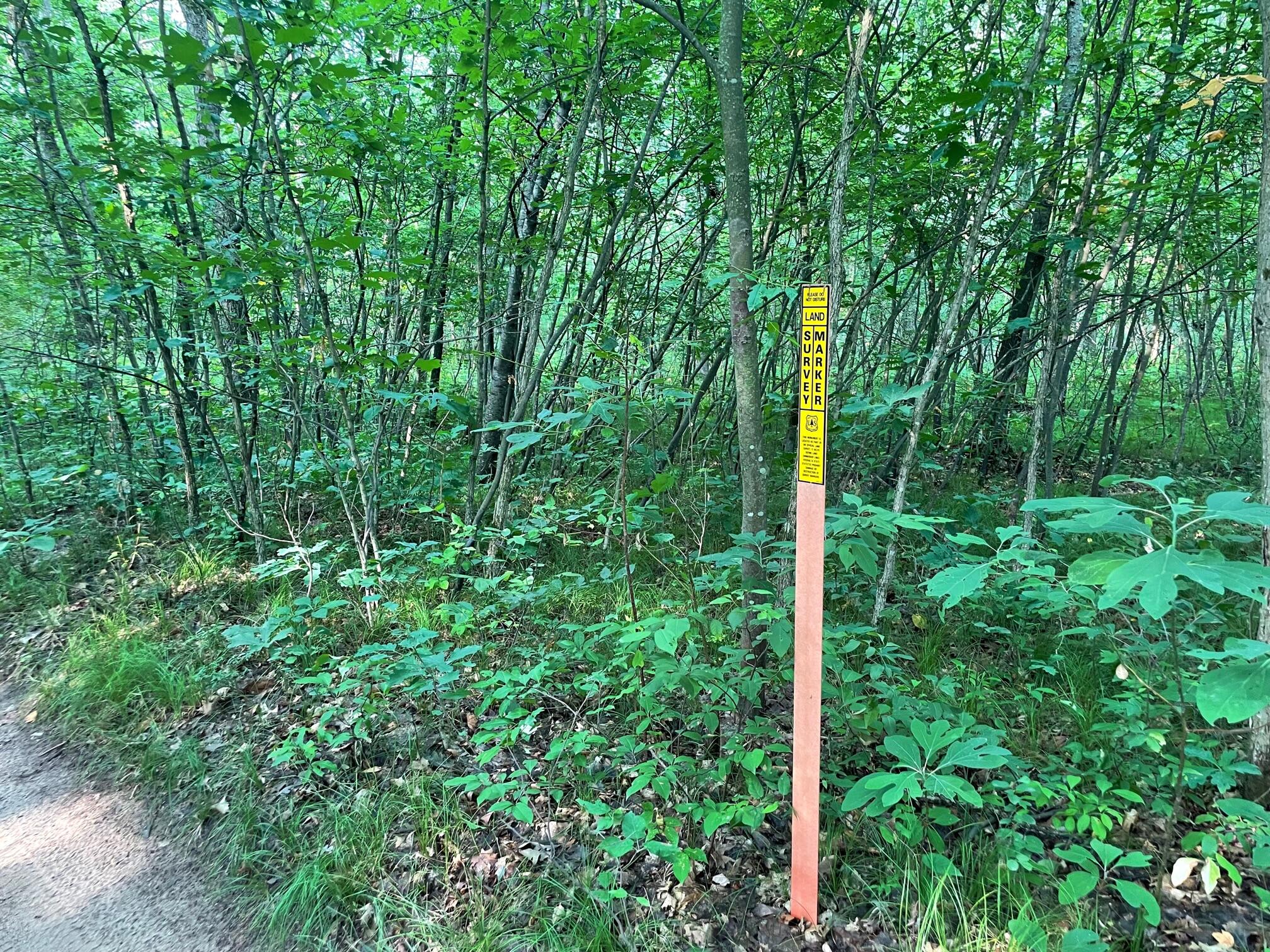 V/l Dexter Road Wellston, MI 49689 - Photo 12 of 22 IMG_0715