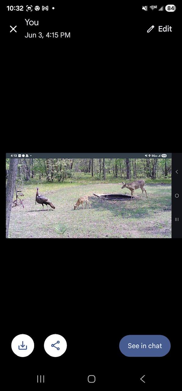 V/l Dexter Road Wellston, MI 49689 - Photo 16 of 22 3536154962355031155