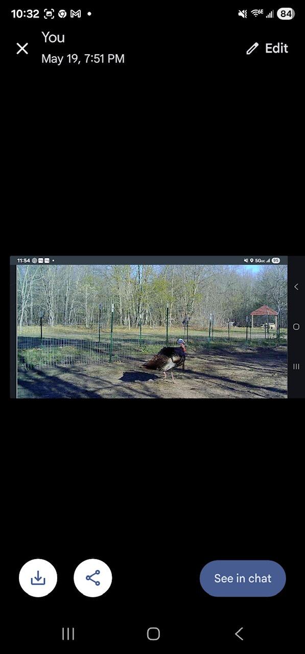 V/l Dexter Road Wellston, MI 49689 - Photo 17 of 22 3966805304614872800