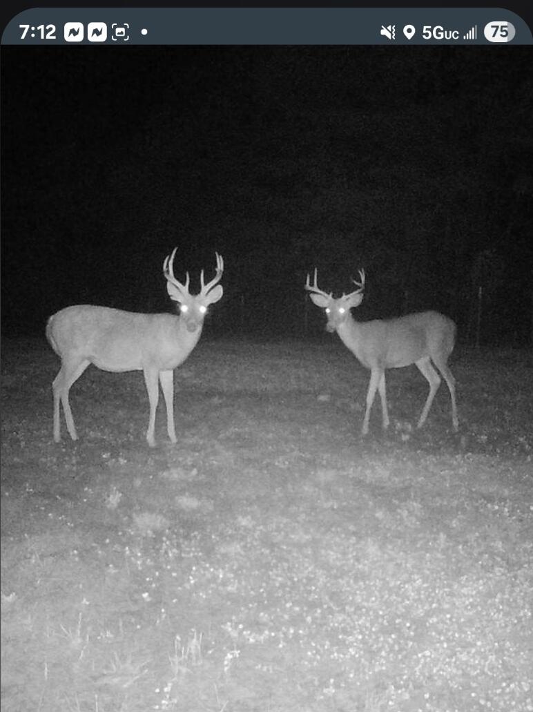V/l Dexter Road Wellston, MI 49689 - Photo 18 of 22 4010294488834464556