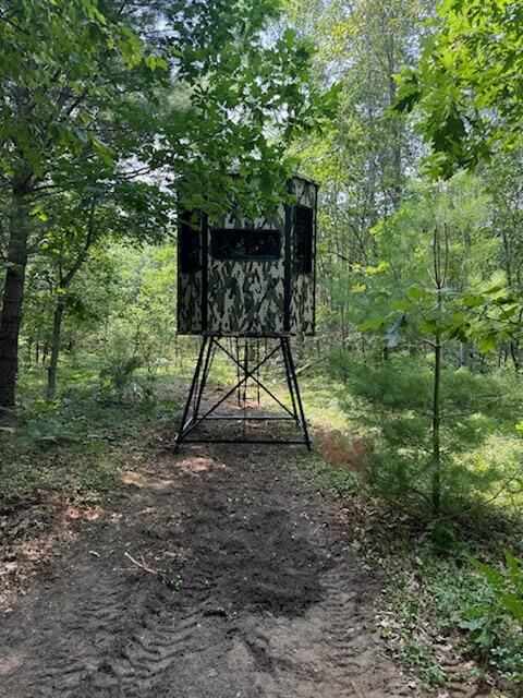 V/l Dexter Road Wellston, MI 49689 - Photo 4 of 22 1086934837012543735