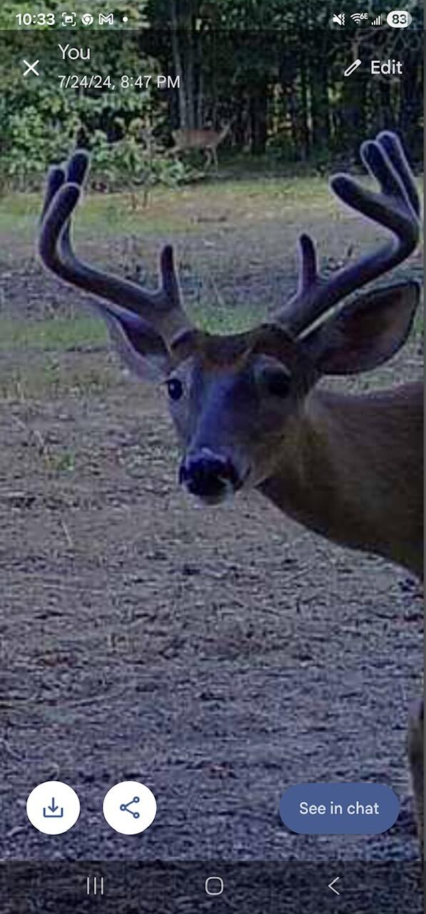 V/l Dexter Road Wellston, MI 49689 - Photo 6 of 22 1583863573028416152