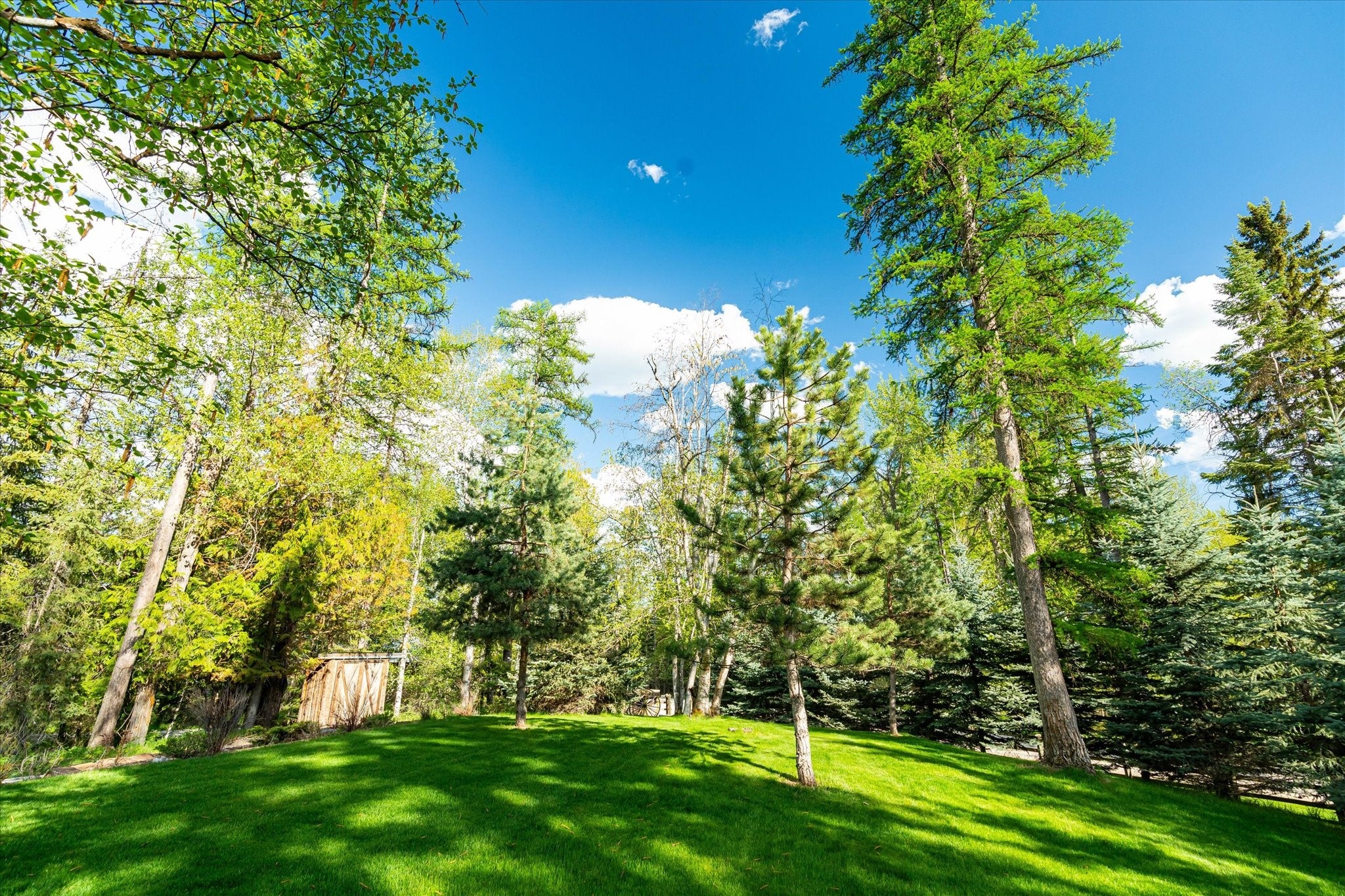 2130 Lion Mountain Loop Road Whitefish, MT 59937 - Photo 82 of 95 Grounds/Property