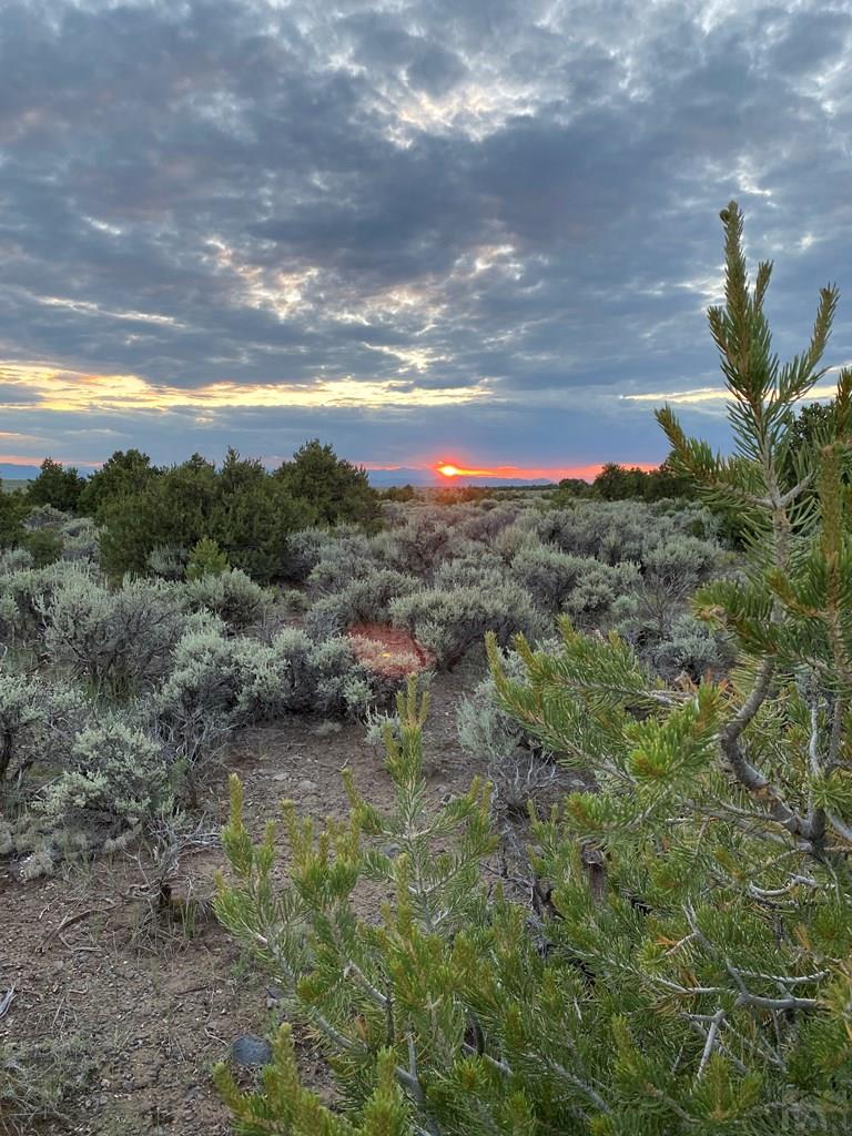 Lot 33 North Melby Ranch Road San Luis, CO 81152 - Photo 2 of 12