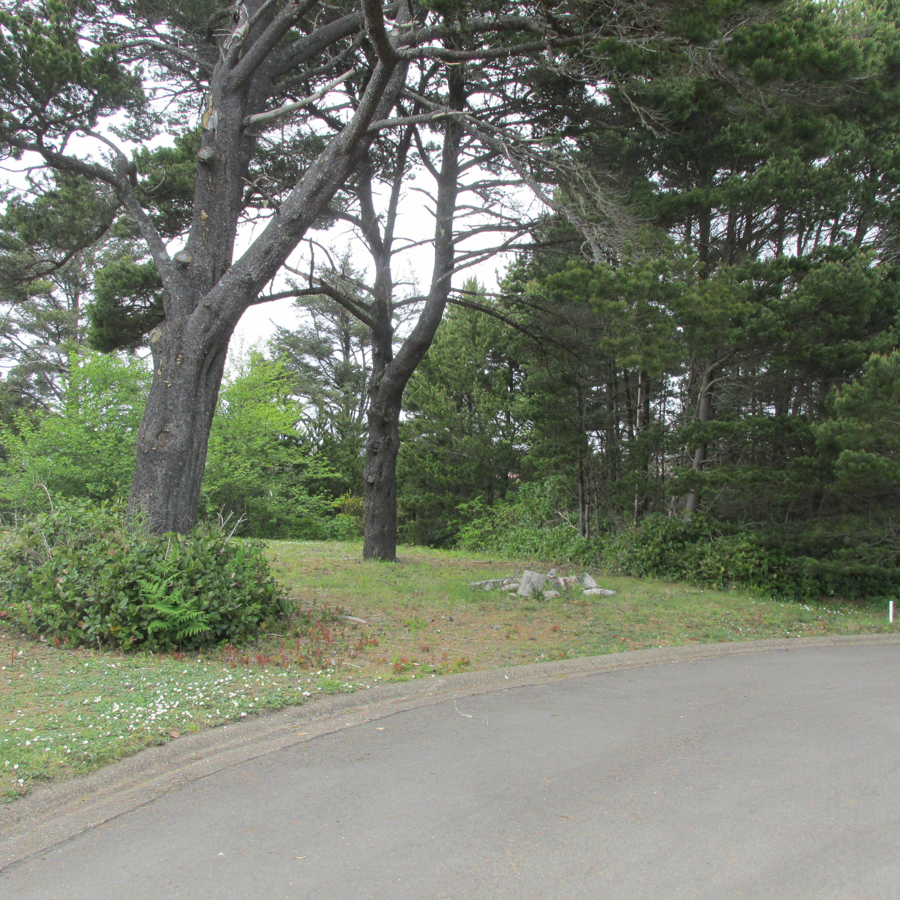 Tl500 Southwest Sailfish Loop Waldport, OR 97394 - Photo 5 of 5 Curb area