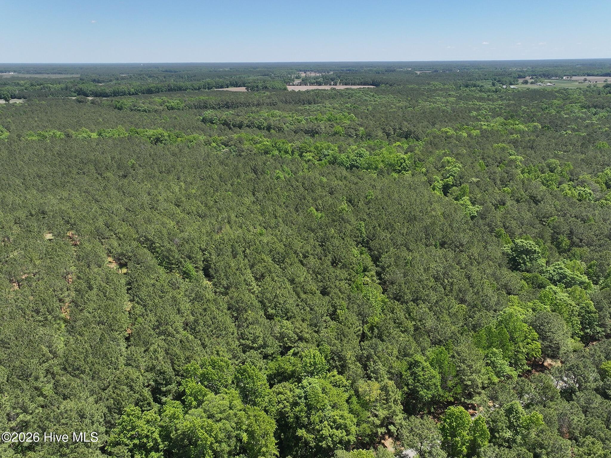 0 Tartt's Mill Road Wilson, NC 27893 - Photo 18 of 23 dji_fly_20260508_124852_0709_17783328193