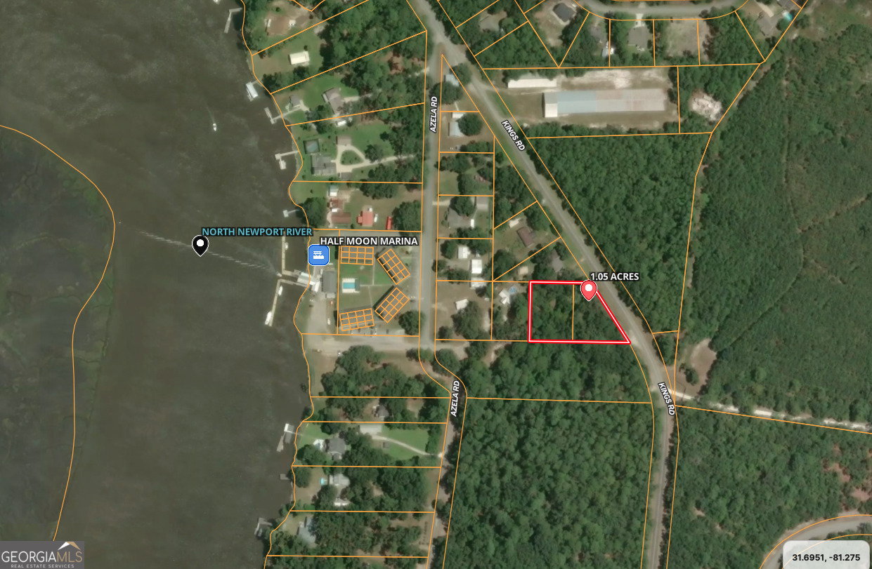 0 Kings Road Midway, GA 31320 - Photo 2 of 12