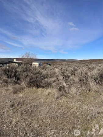 a view of a dry yard with wooden floor and fence