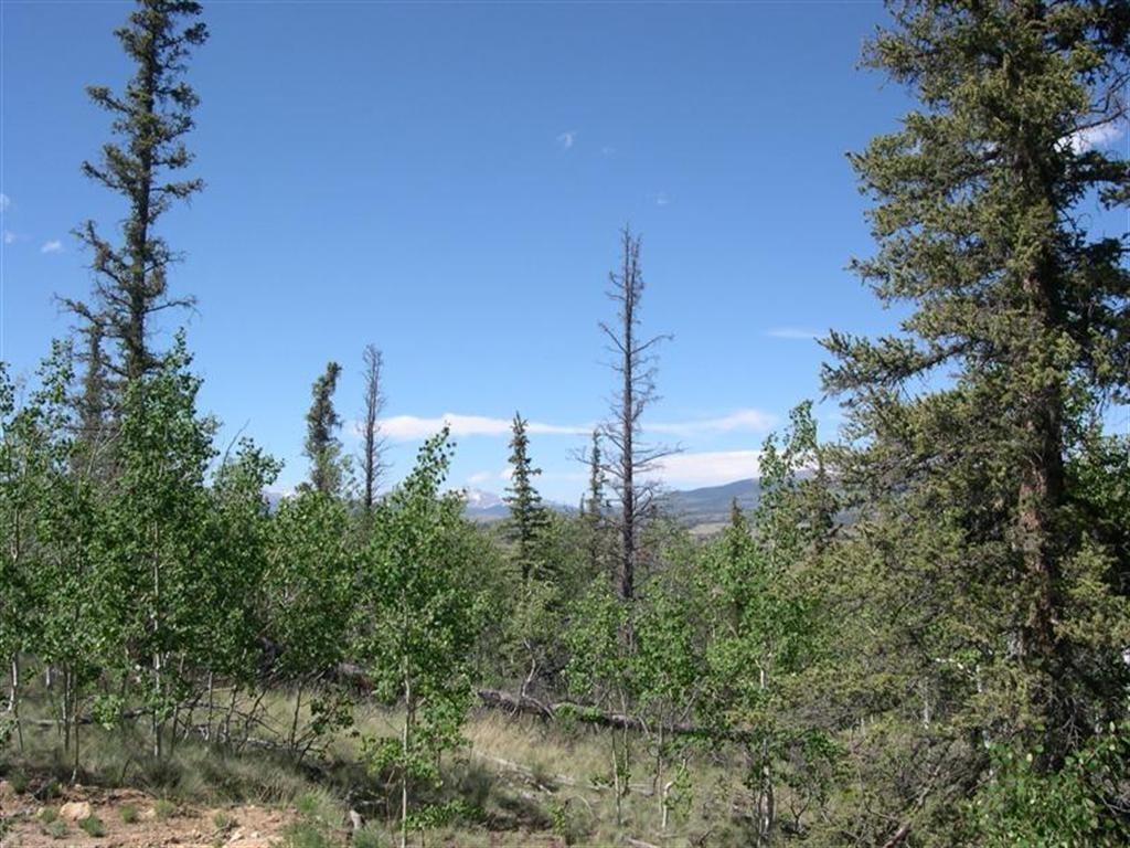 413 Bowstring Road Como, CO 80456 - Photo 1 of 22 Gallery Image 1