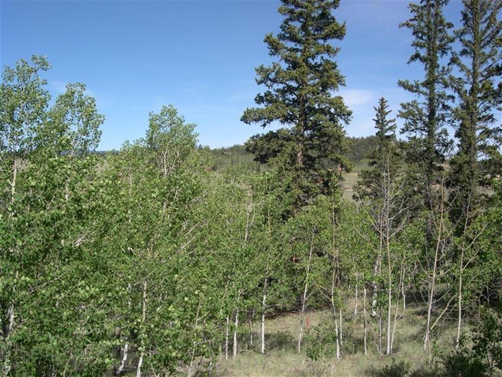 413 Bowstring Road Como, CO 80456 - Photo 2 of 22 Gallery Image 2