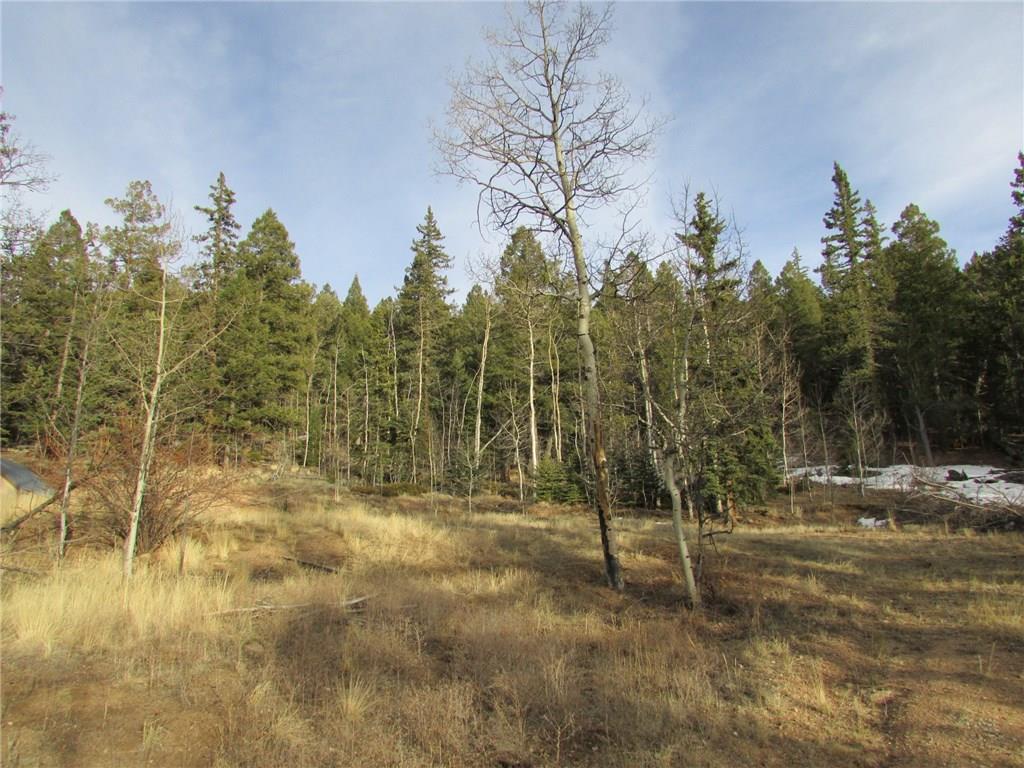 413 Bowstring Road Como, CO 80456 - Photo 12 of 22 Gallery Image 12