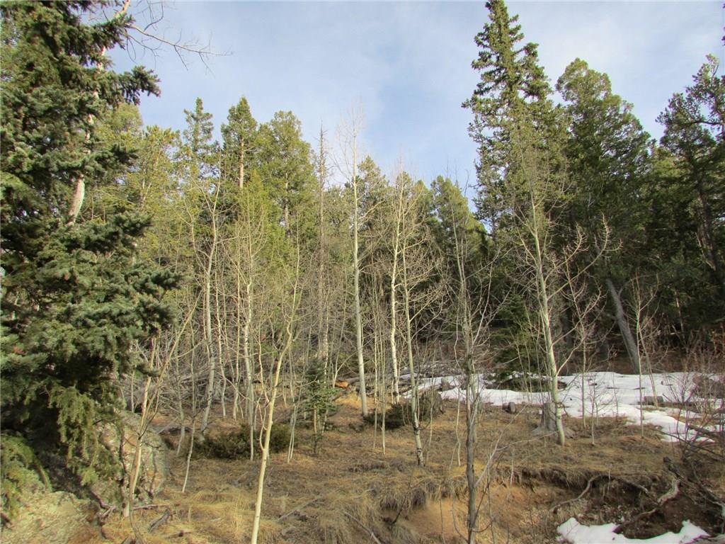 413 Bowstring Road Como, CO 80456 - Photo 13 of 22 Gallery Image 13