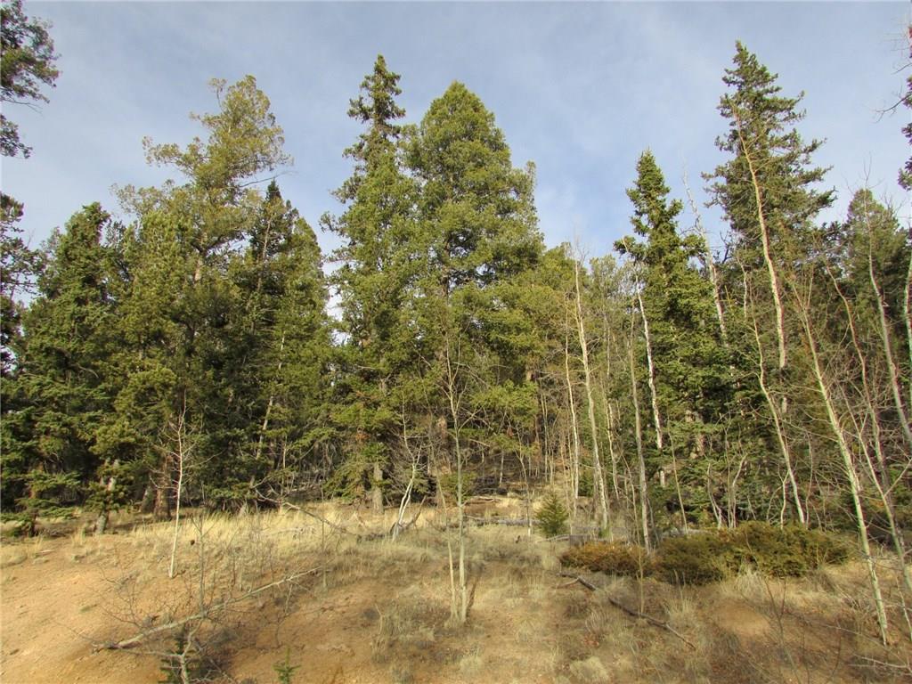 413 Bowstring Road Como, CO 80456 - Photo 14 of 22 Gallery Image 14