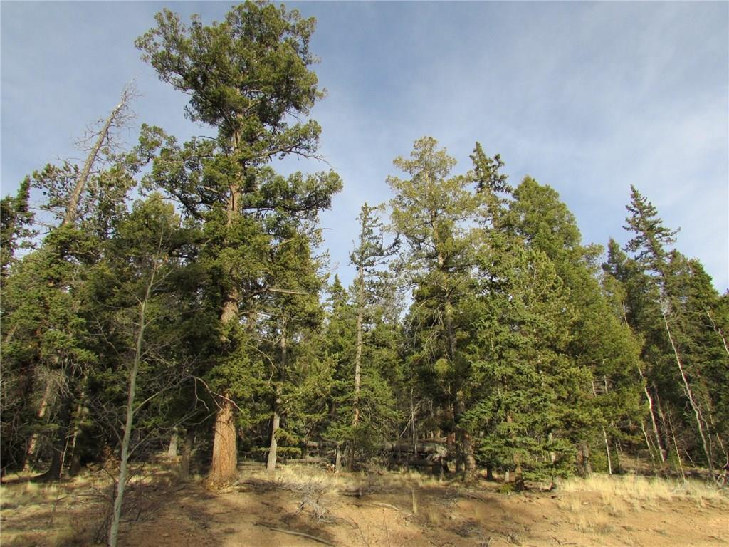 413 Bowstring Road Como, CO 80456 - Photo 18 of 22 Gallery Image 18