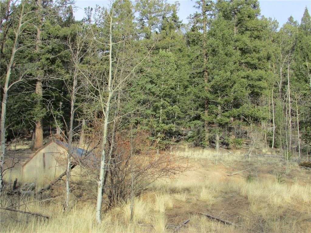 413 Bowstring Road Como, CO 80456 - Photo 19 of 22 Gallery Image 19