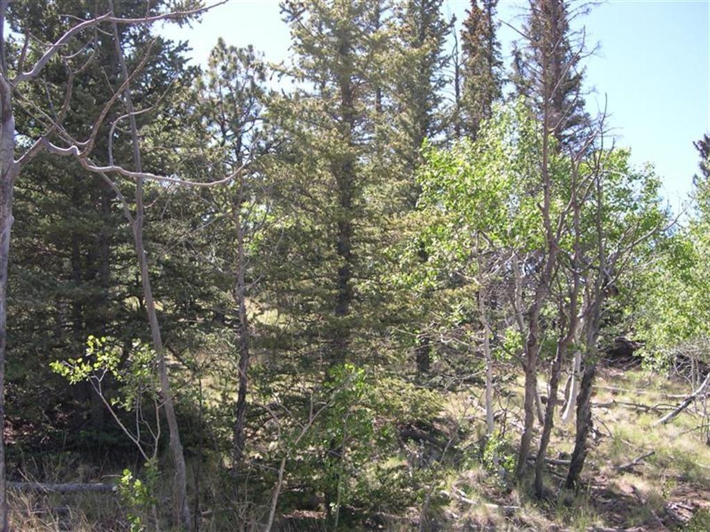 413 Bowstring Road Como, CO 80456 - Photo 4 of 22 Gallery Image 4