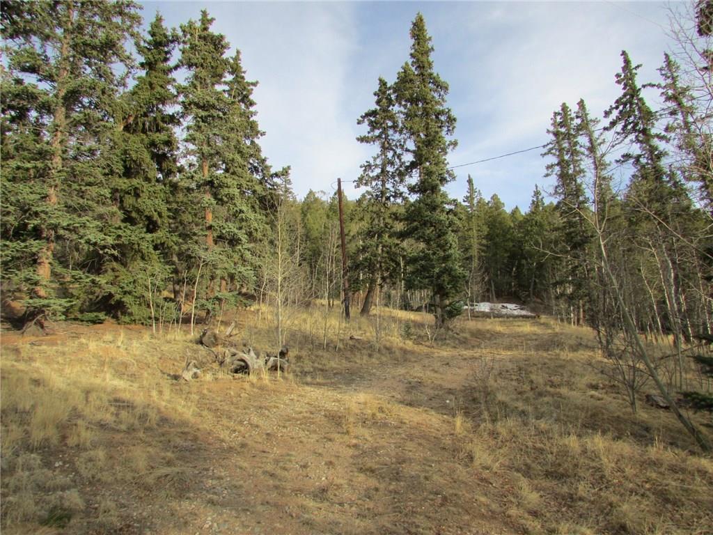 413 Bowstring Road Como, CO 80456 - Photo 10 of 22 Gallery Image 10