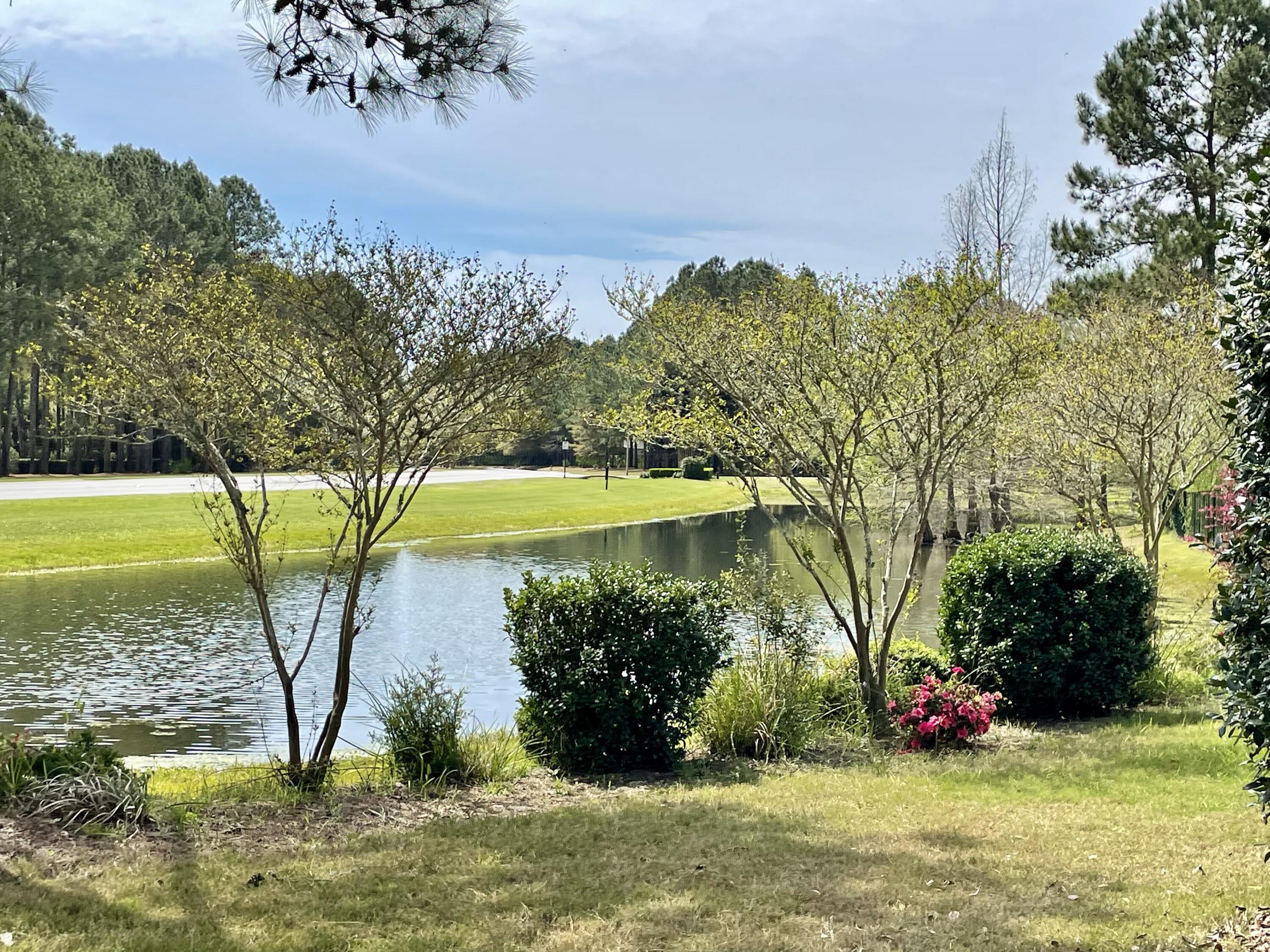 46 Hemingway Lane Freeport, FL 32439 - Photo 11 of 27 a view of a garden with plants and large trees