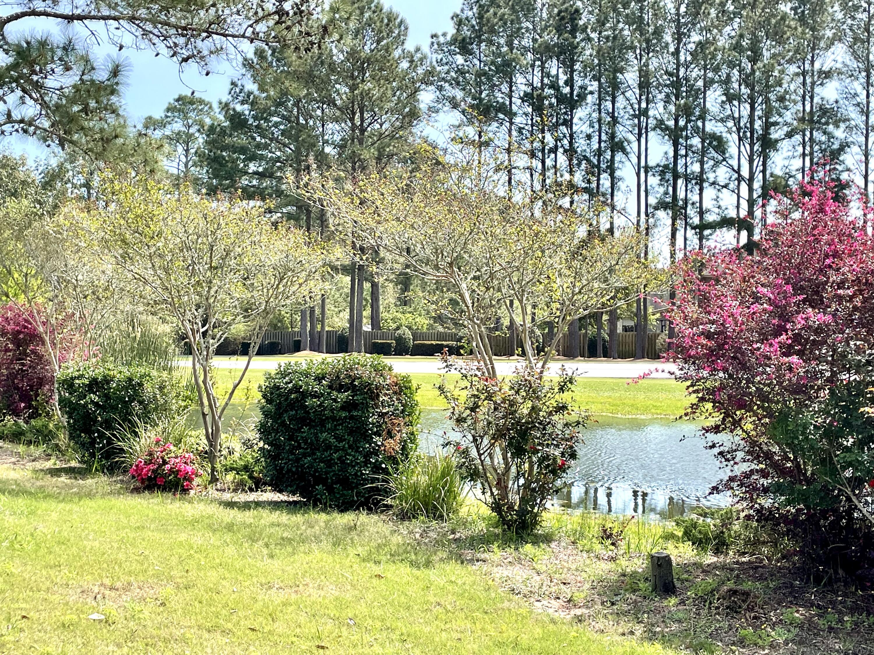 46 Hemingway Lane Freeport, FL 32439 - Photo 13 of 27 a view of a garden with plants and large trees