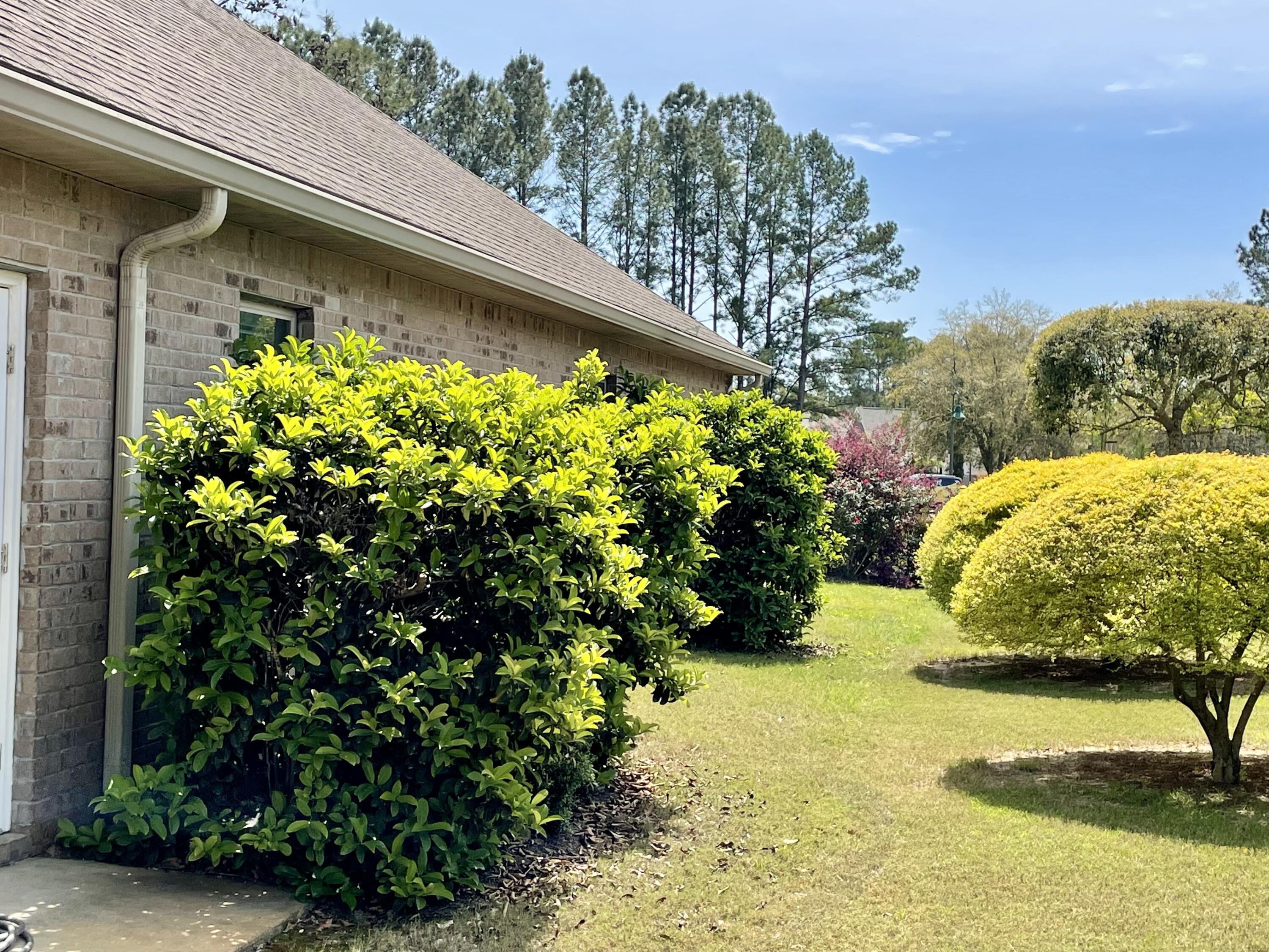 46 Hemingway Lane Freeport, FL 32439 - Photo 14 of 27 a view of a garden with potted plants