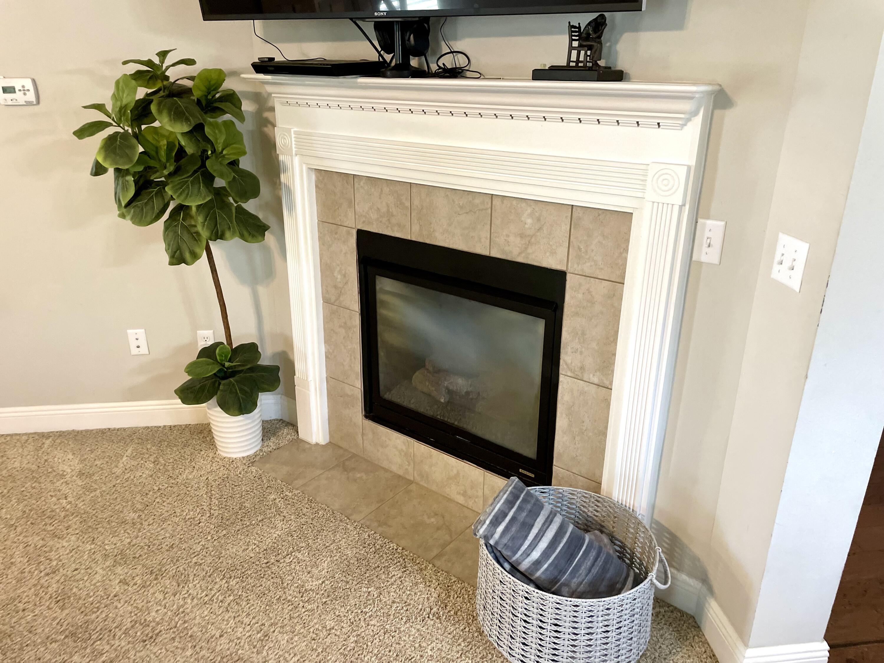 46 Hemingway Lane Freeport, FL 32439 - Photo 20 of 27 a living room with a fireplace and potted plant