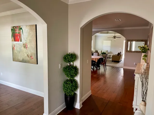 a living room with furniture and a potted plant