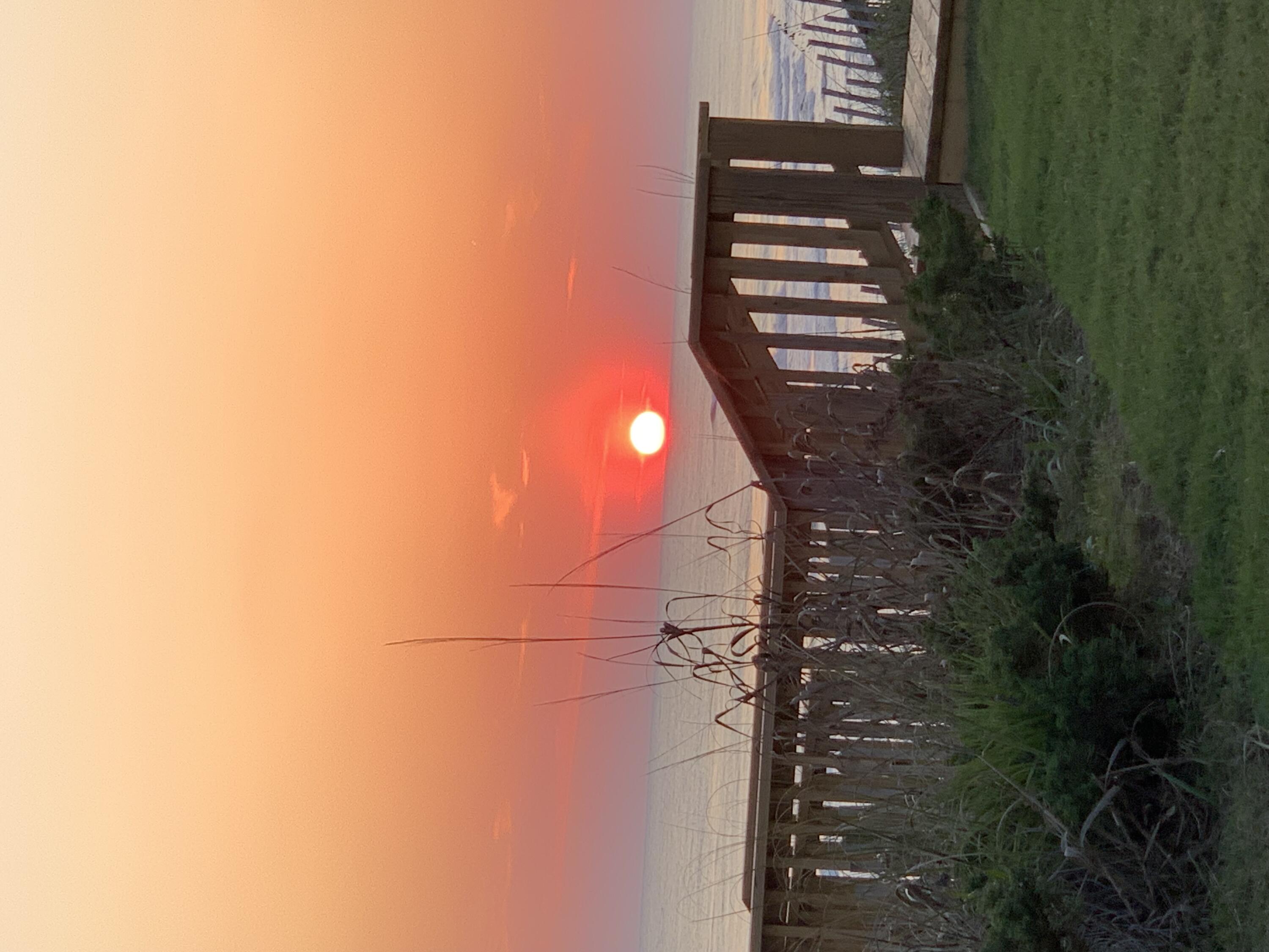 46 Hemingway Lane Freeport, FL 32439 - Photo 3 of 27 a view of a backyard