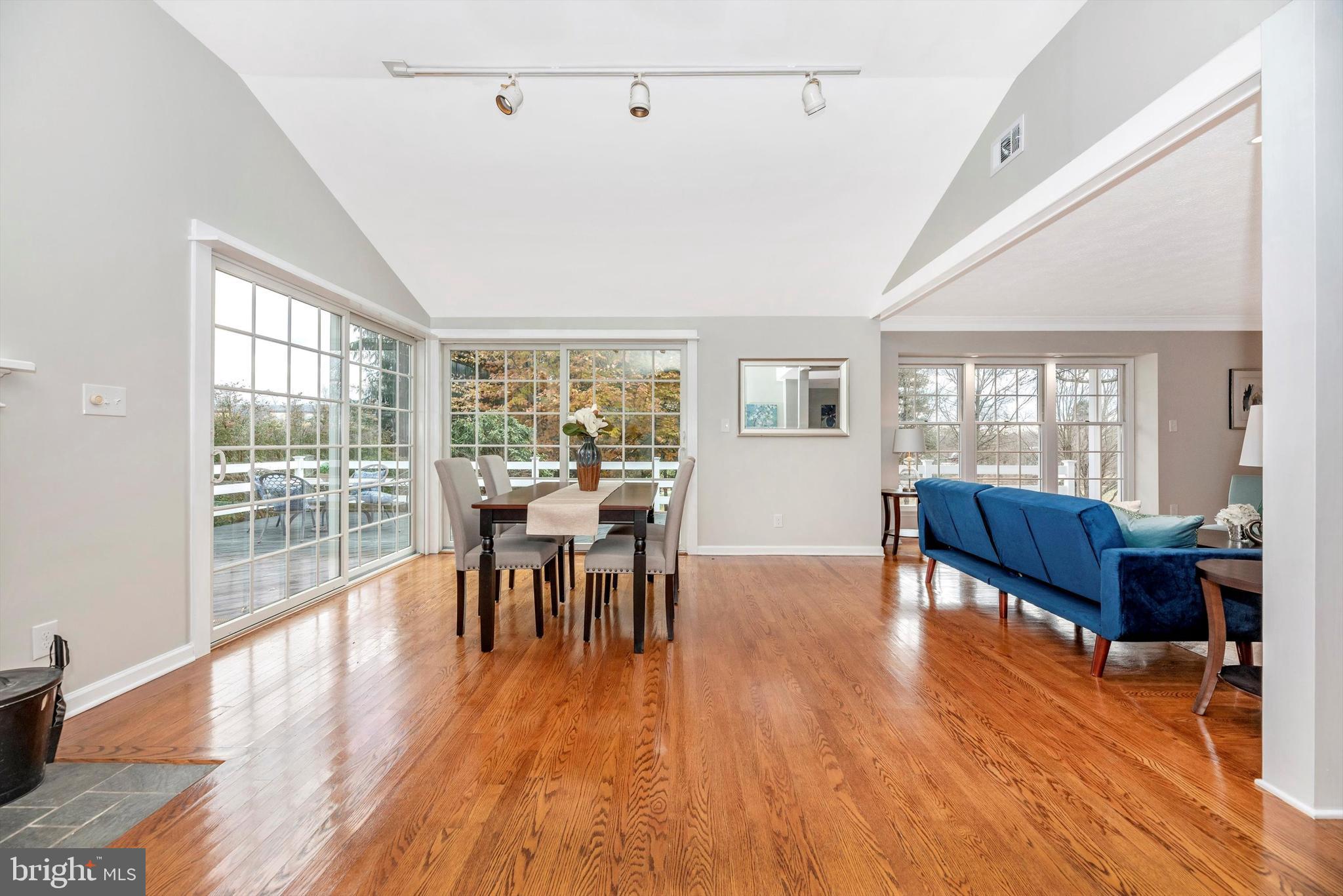 20320 Townsend Road Rohrersville, MD 21779 - Photo 17 of 45 Vaulted Ceiling w/Track Lighting