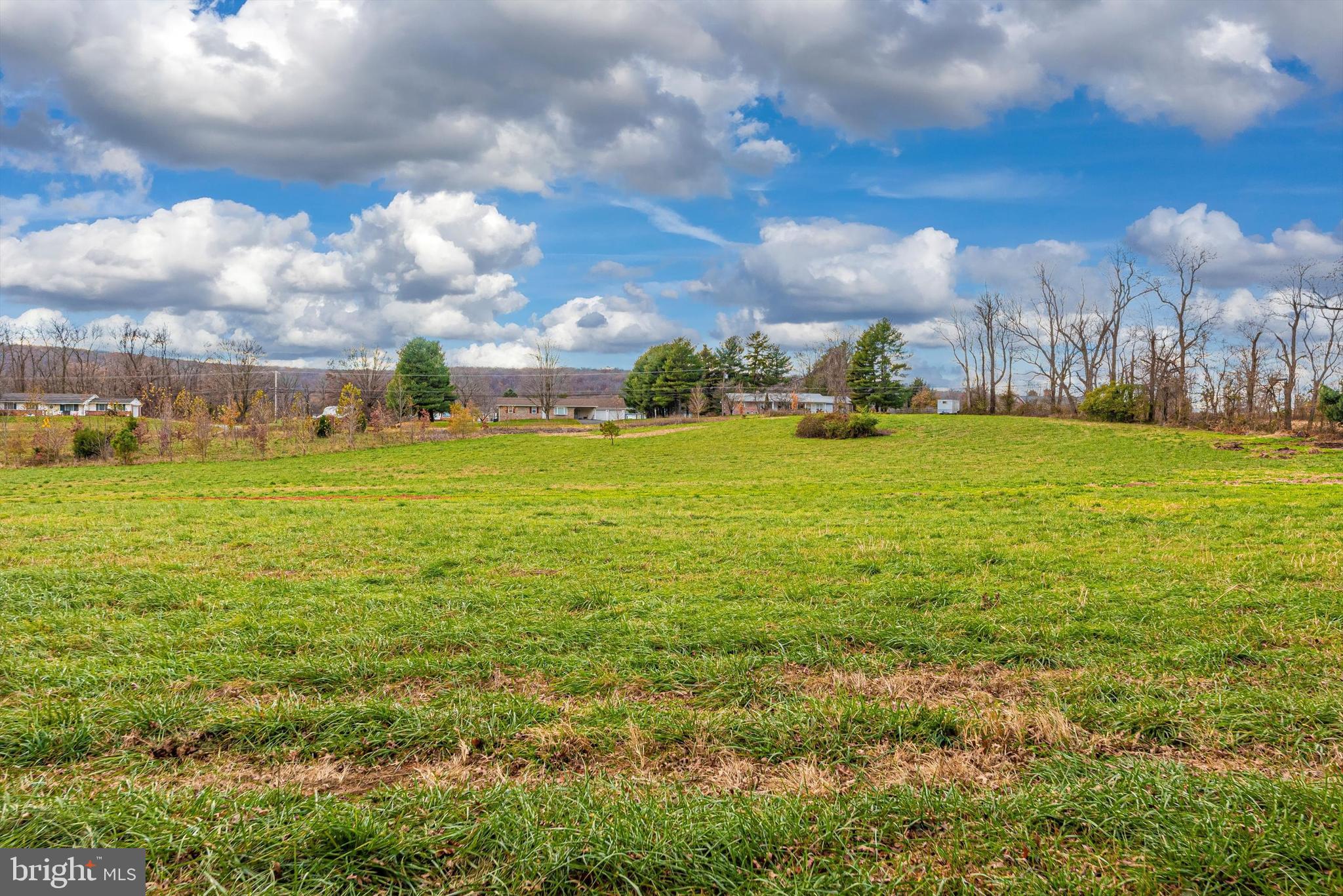 20320 Townsend Road Rohrersville, MD 21779 - Photo 43 of 45 Extra Pasture Beyond Pines