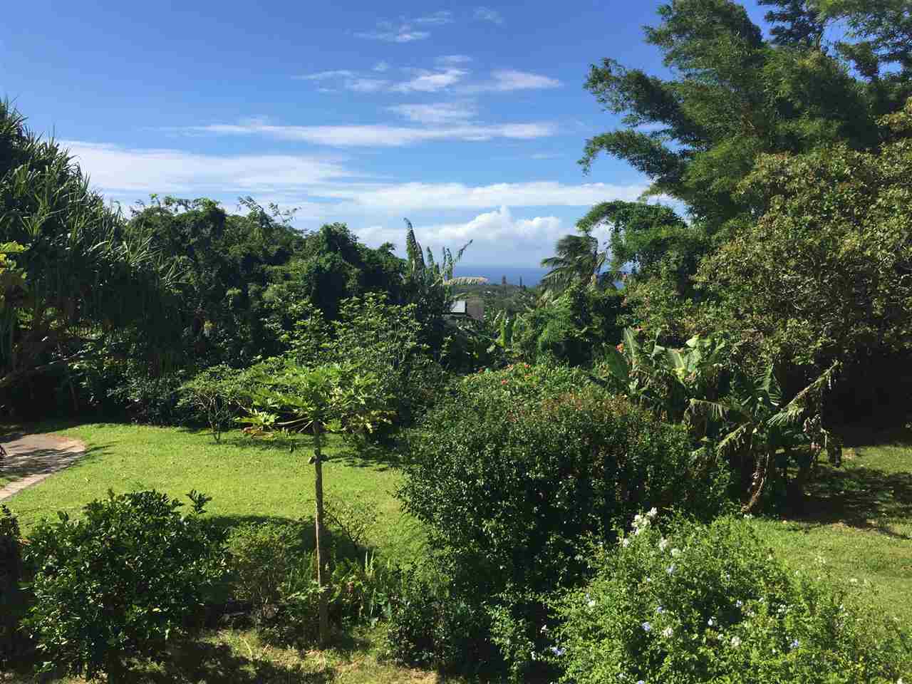 1061 Kokomo Road Haiku, HI 96708 - Photo 19 of 30 a view of a garden with plants