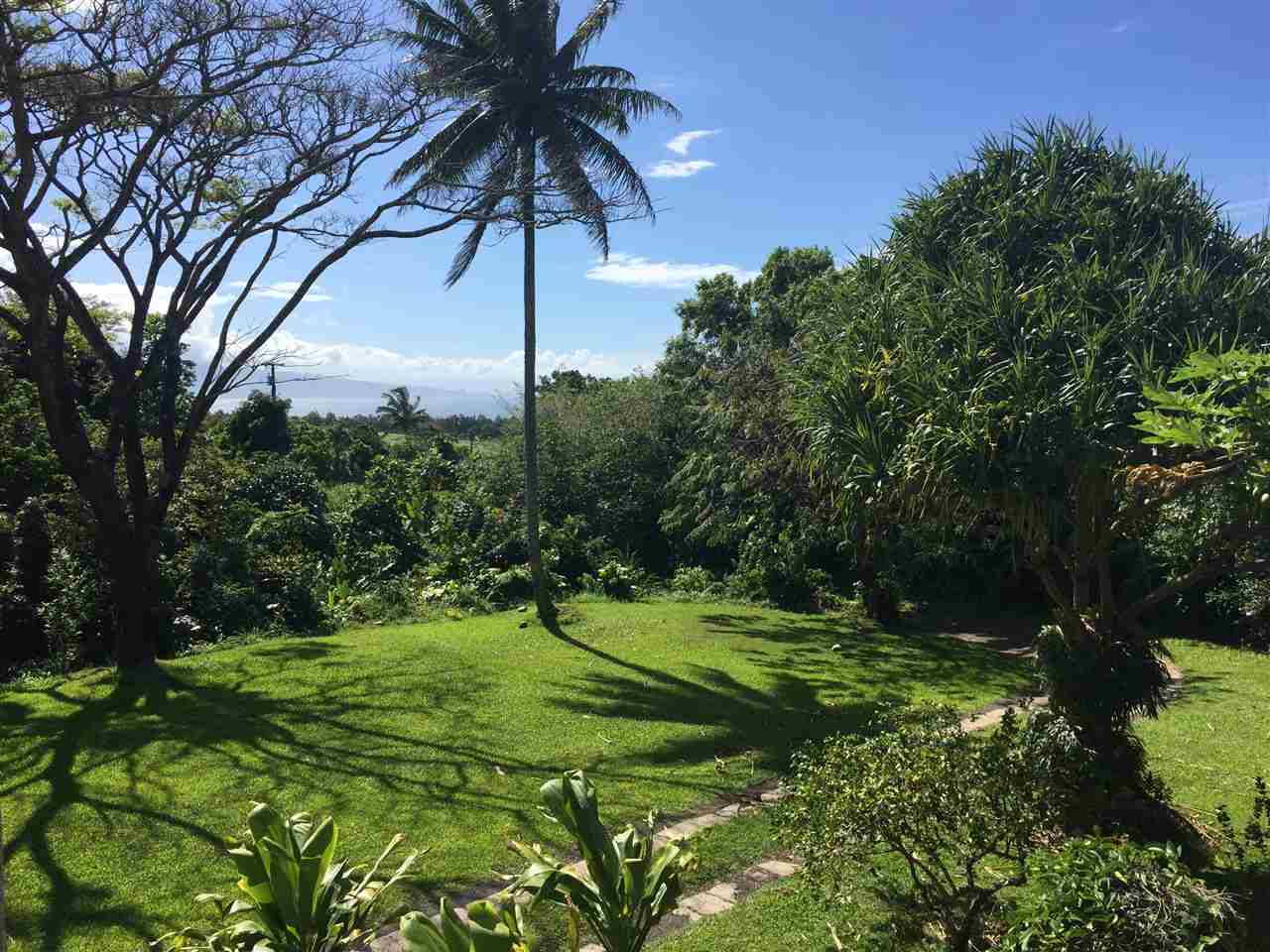 1061 Kokomo Road Haiku, HI 96708 - Photo 20 of 30 a view of a golf course with a tree