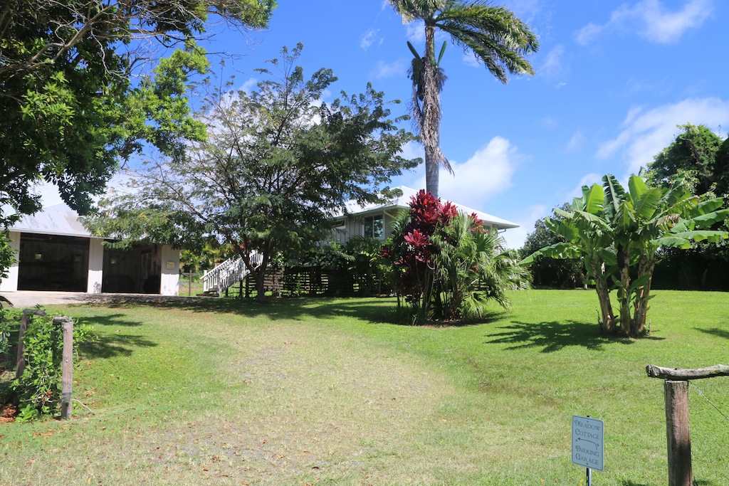 1061 Kokomo Road Haiku, HI 96708 - Photo 21 of 30 a view of a yard with a house in the background