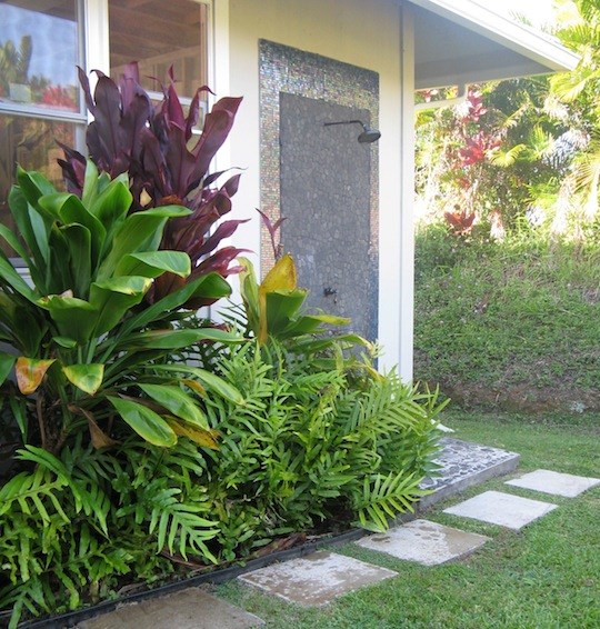 1061 Kokomo Road Haiku, HI 96708 - Photo 27 of 30 a backyard of a house with lots of green space