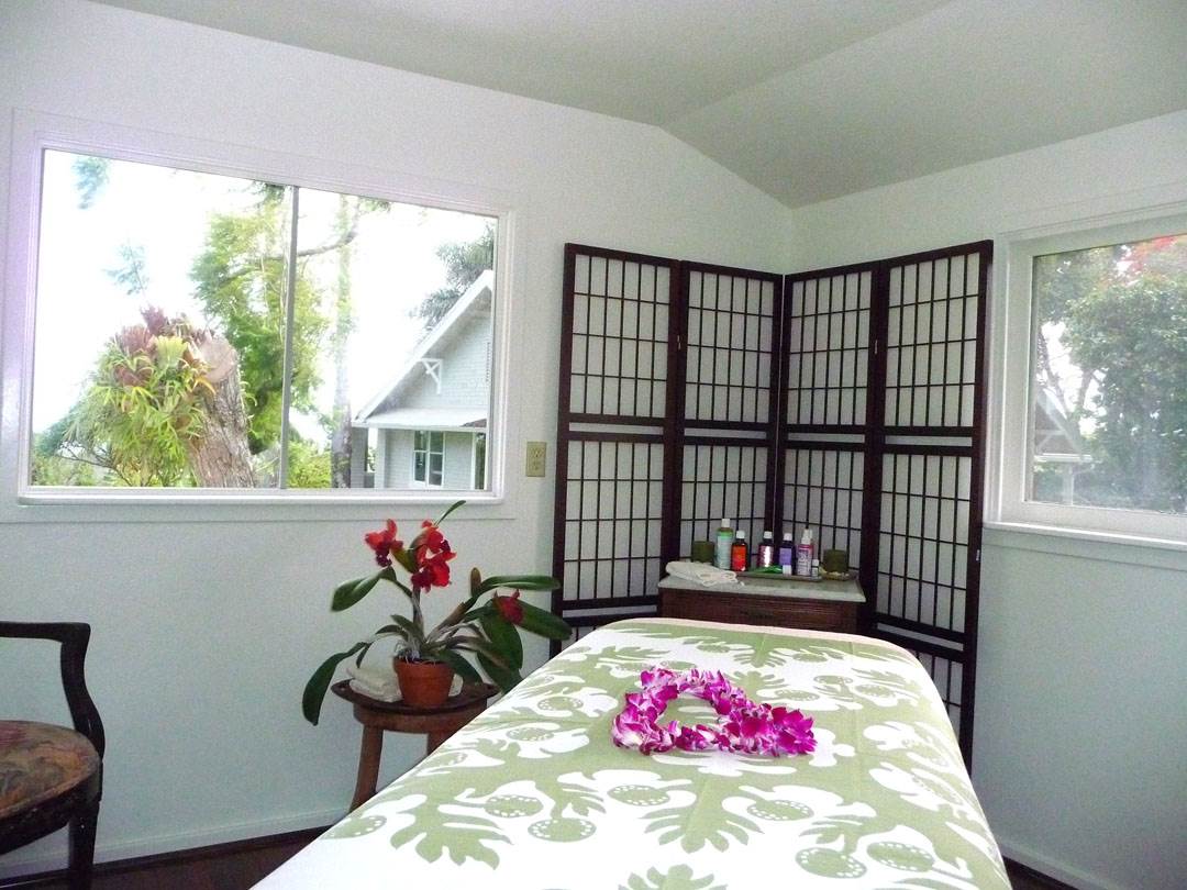 1061 Kokomo Road Haiku, HI 96708 - Photo 30 of 30 a bedroom with furniture and a potted plant