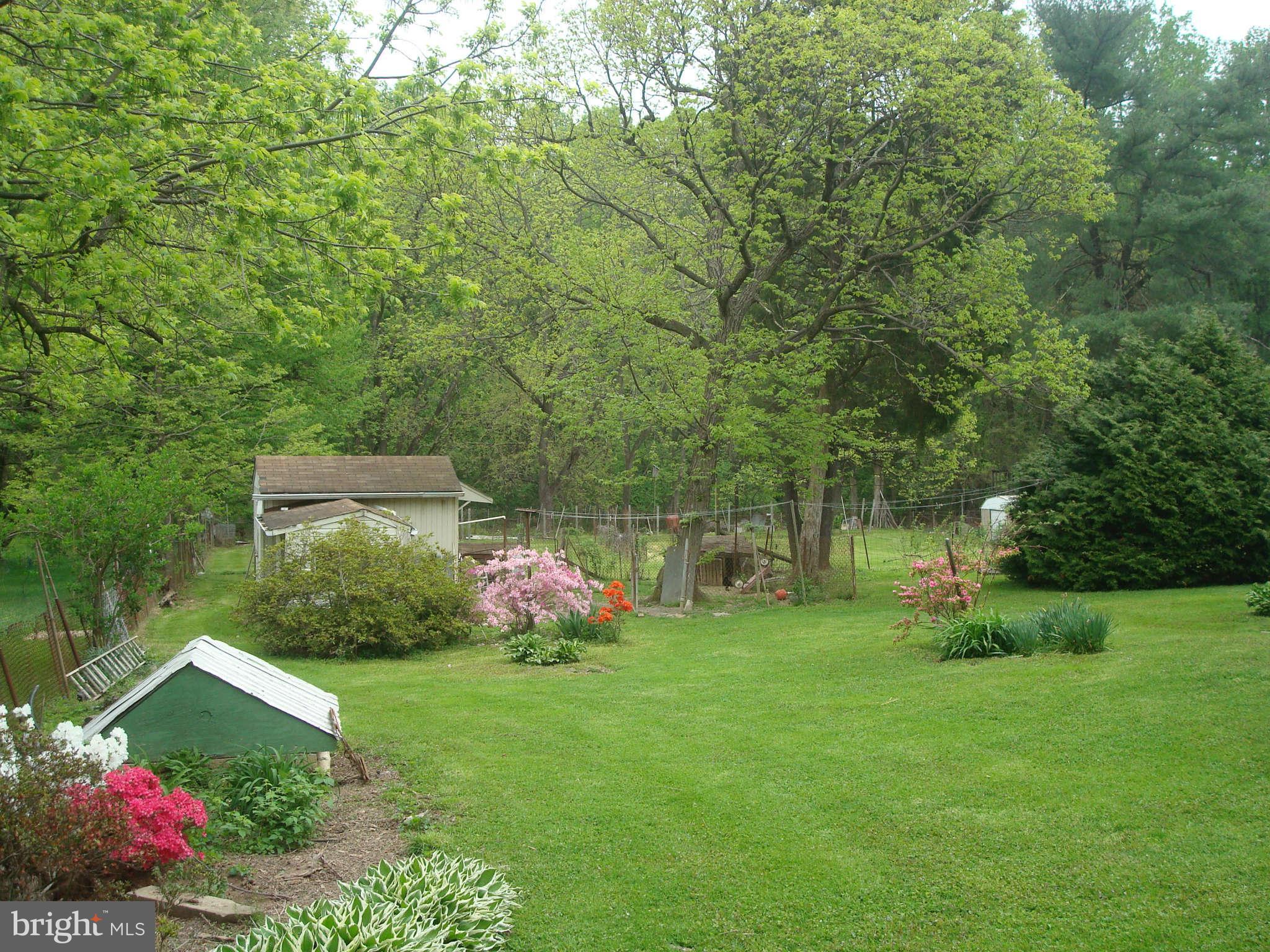 921 Grays Lane Silver Spring, MD 20902 - Photo 12 of 27 Side Yard