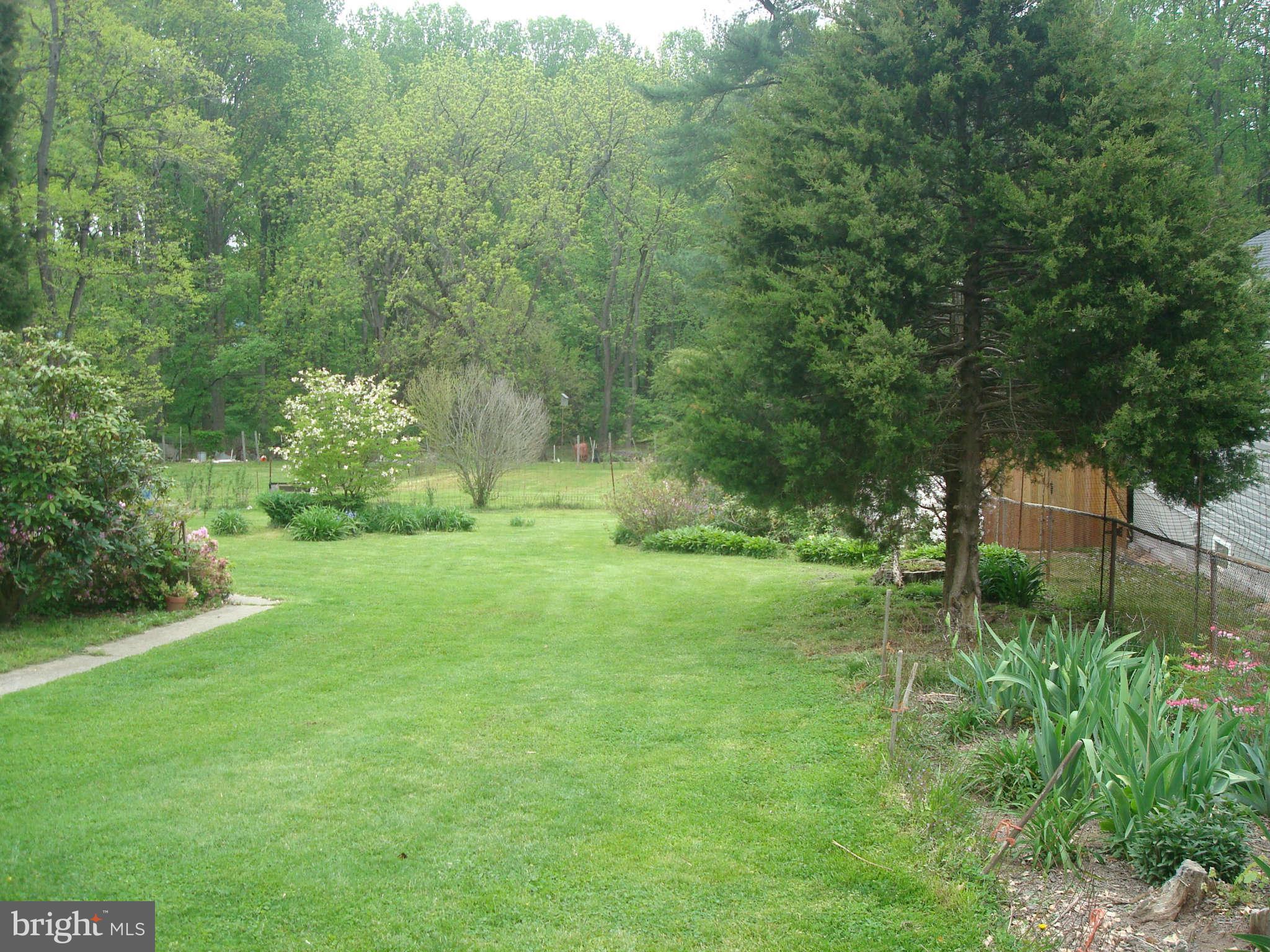 921 Grays Lane Silver Spring, MD 20902 - Photo 15 of 27 Lot View