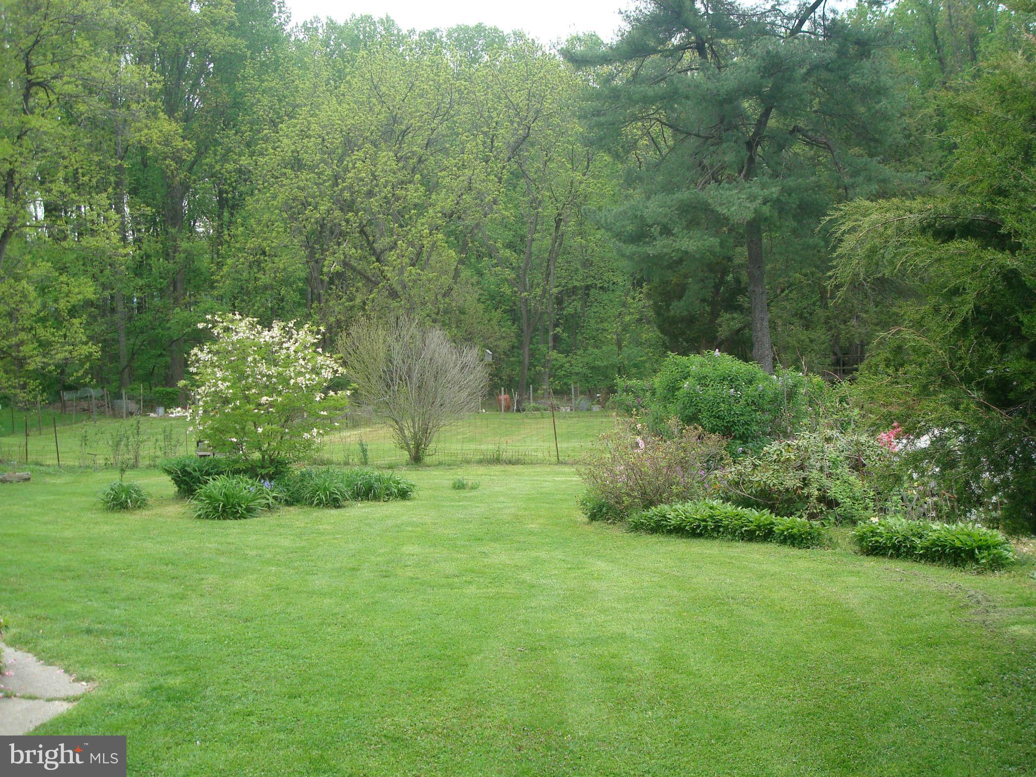 921 Grays Lane Silver Spring, MD 20902 - Photo 16 of 27 Lot View